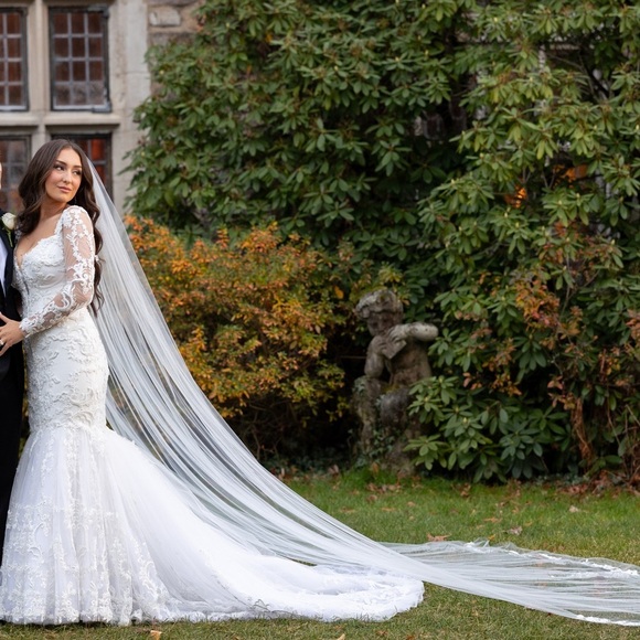 Pnina Tornai Pre-owned Mermaid Wedding dress - Picture 7 of 8